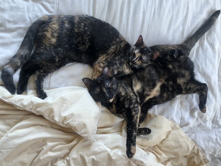 Malka & Bina