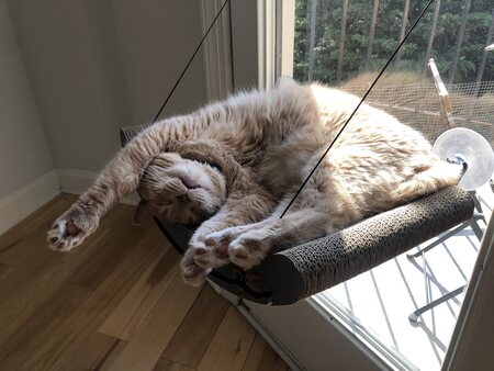 Seymour