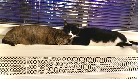 Pepe and Riggy 