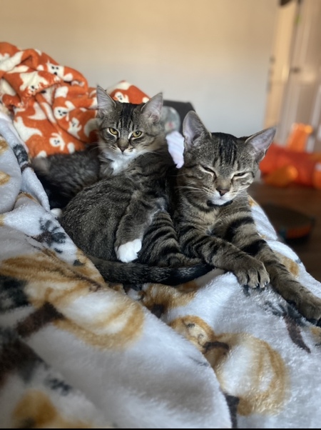 Rosie and Vinny