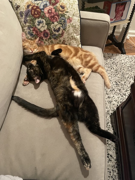 Maude and Larry