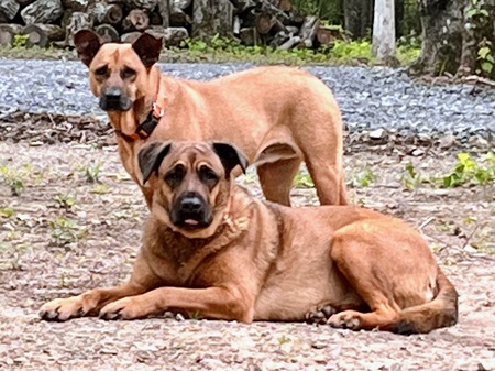 Tater & Marah