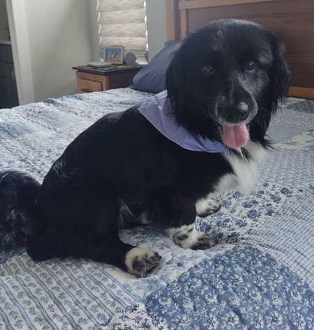 Birdie (formerly known as Stella from RMPR)
