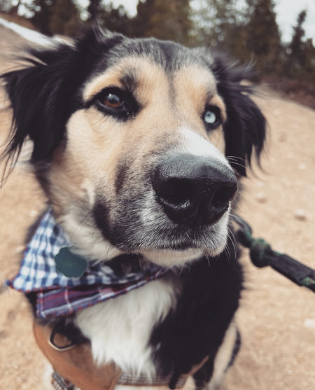 Tobias (Toby) 