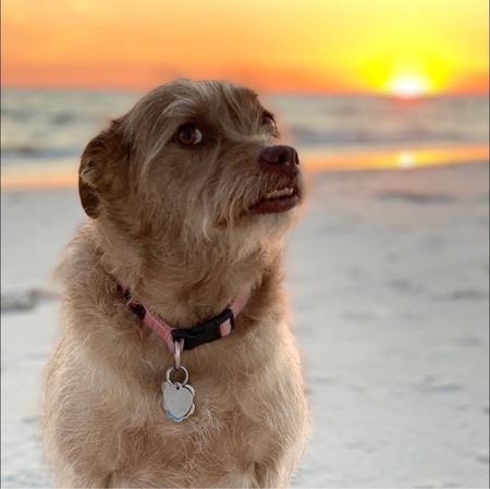 Molly