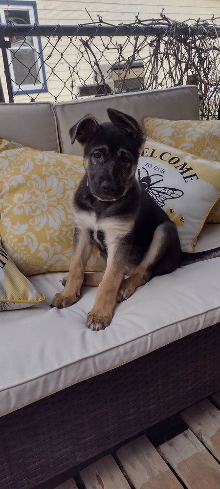 Samantha 