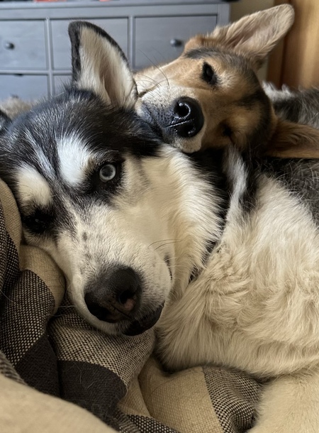 Lander & Lambeau