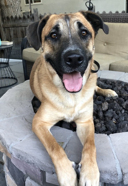 Harvey
