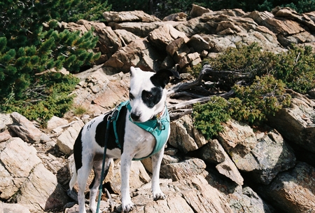 Suzie