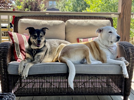 Zoe & Luna