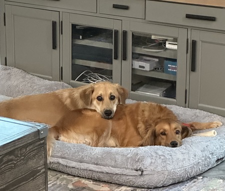 Cali & Sadie