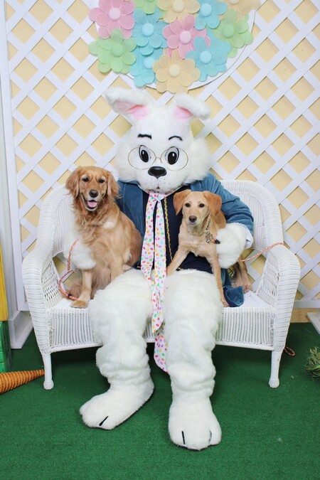 Molly and Coco