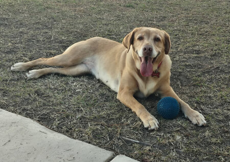 Lucy