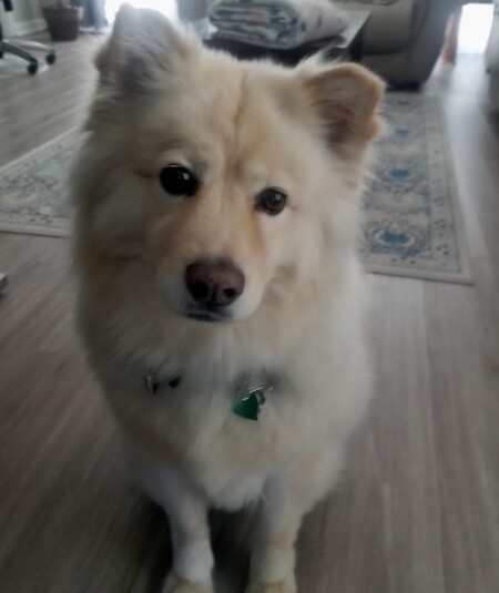Max