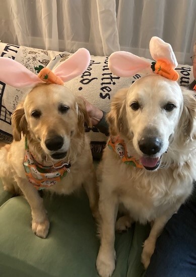 Lucy and Lucky