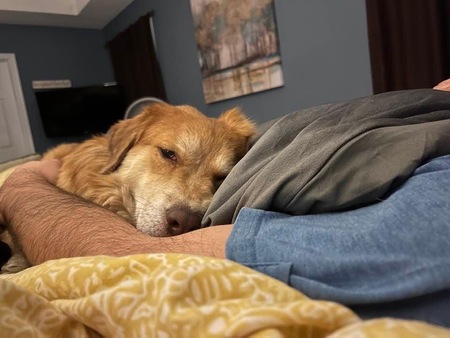 Gus