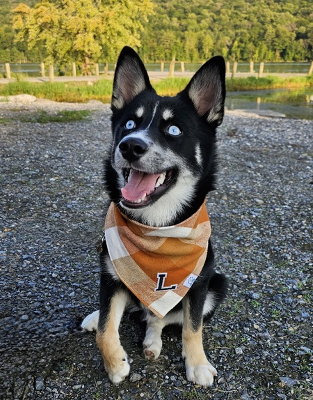 Loki