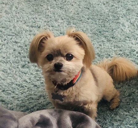Charlie (aka Charles Anthony) 