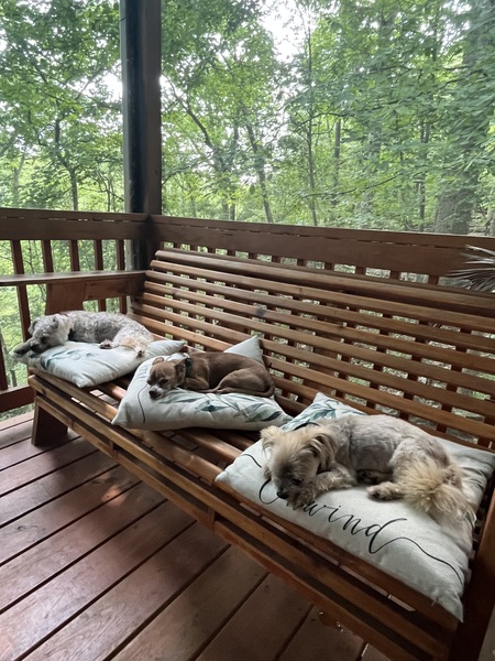 Remi, Charlie, and Godric 