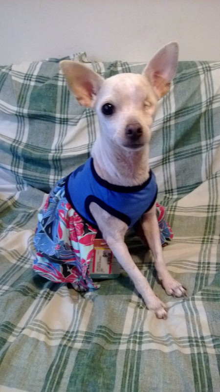 Entry image for Lela. Clicking this image will show a larger photo