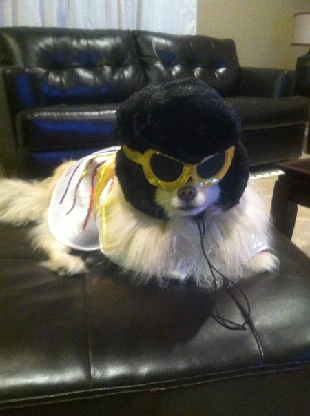 Entry image for Hero. Clicking this image will show a larger photo