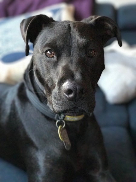 Tiberius