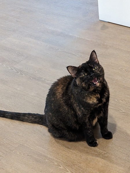 Sophie 