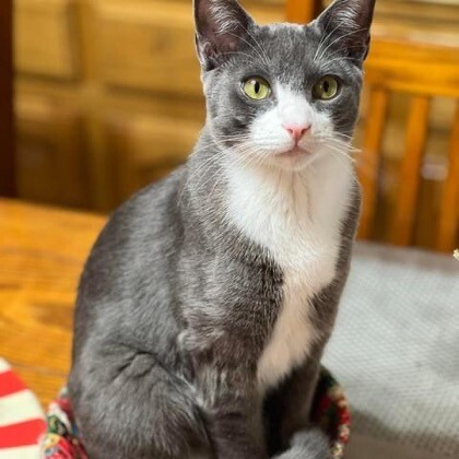 Oliver