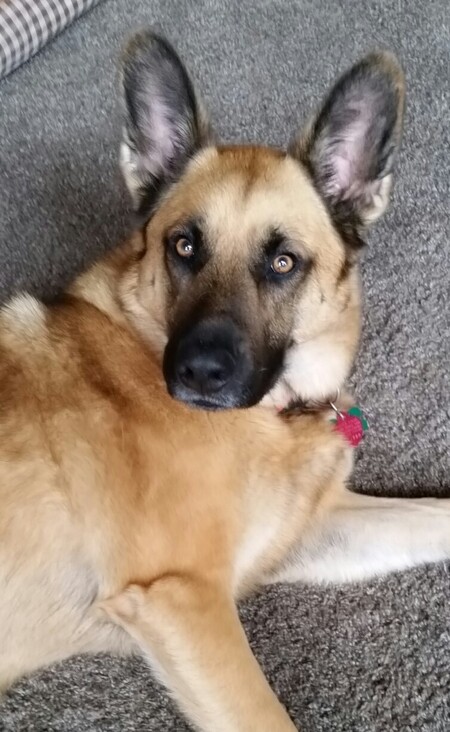 Vinnie