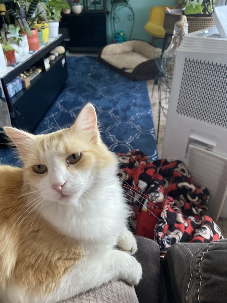 Fluffernuffer