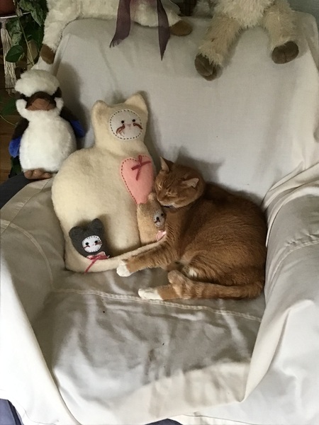 Peaches 