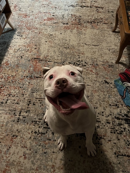 Odin
