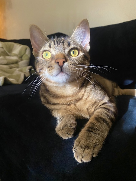 Yuki
