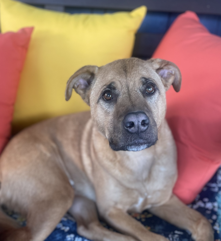 Max