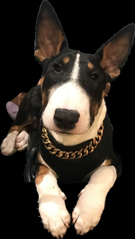 Bernice