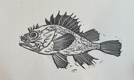 Rockfish