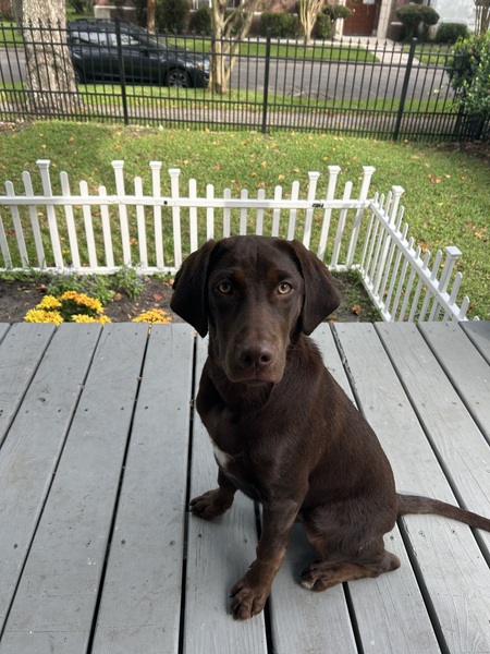 Jax 
