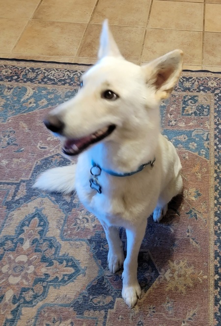 Freya