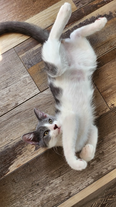 Oliver