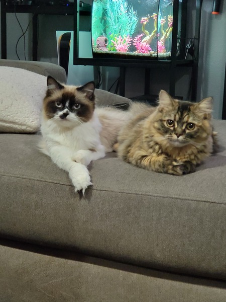 Jane and Daria