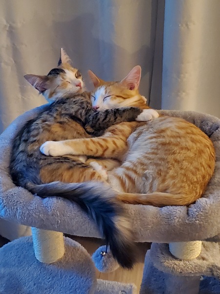 Jack and Jill