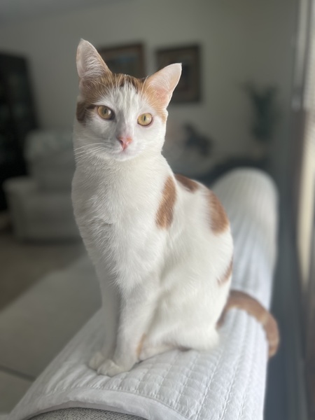 Lilah
