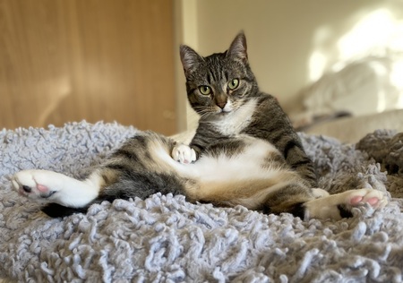Kiki
