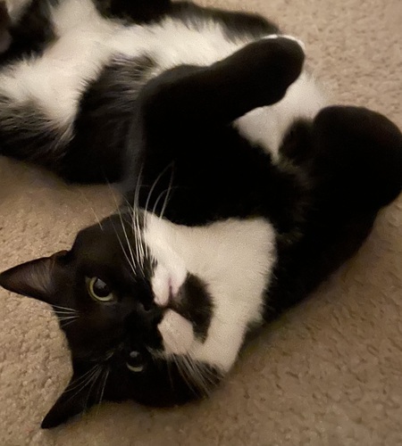 Tiny