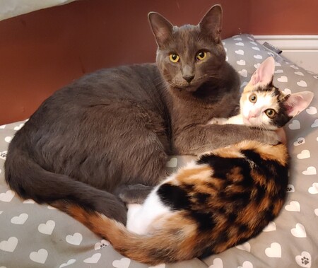 Carter and Cora