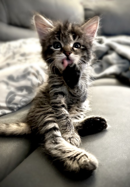 Leonard