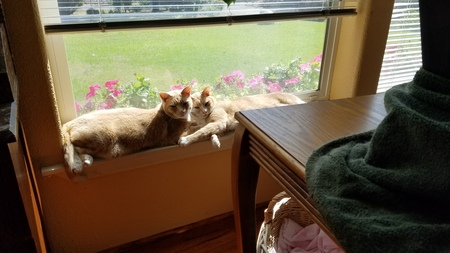 Lucy and Ethel