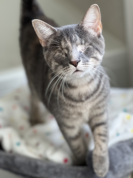 Skye