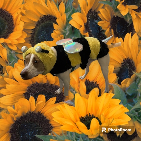 Tippy