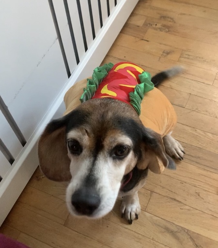 Max